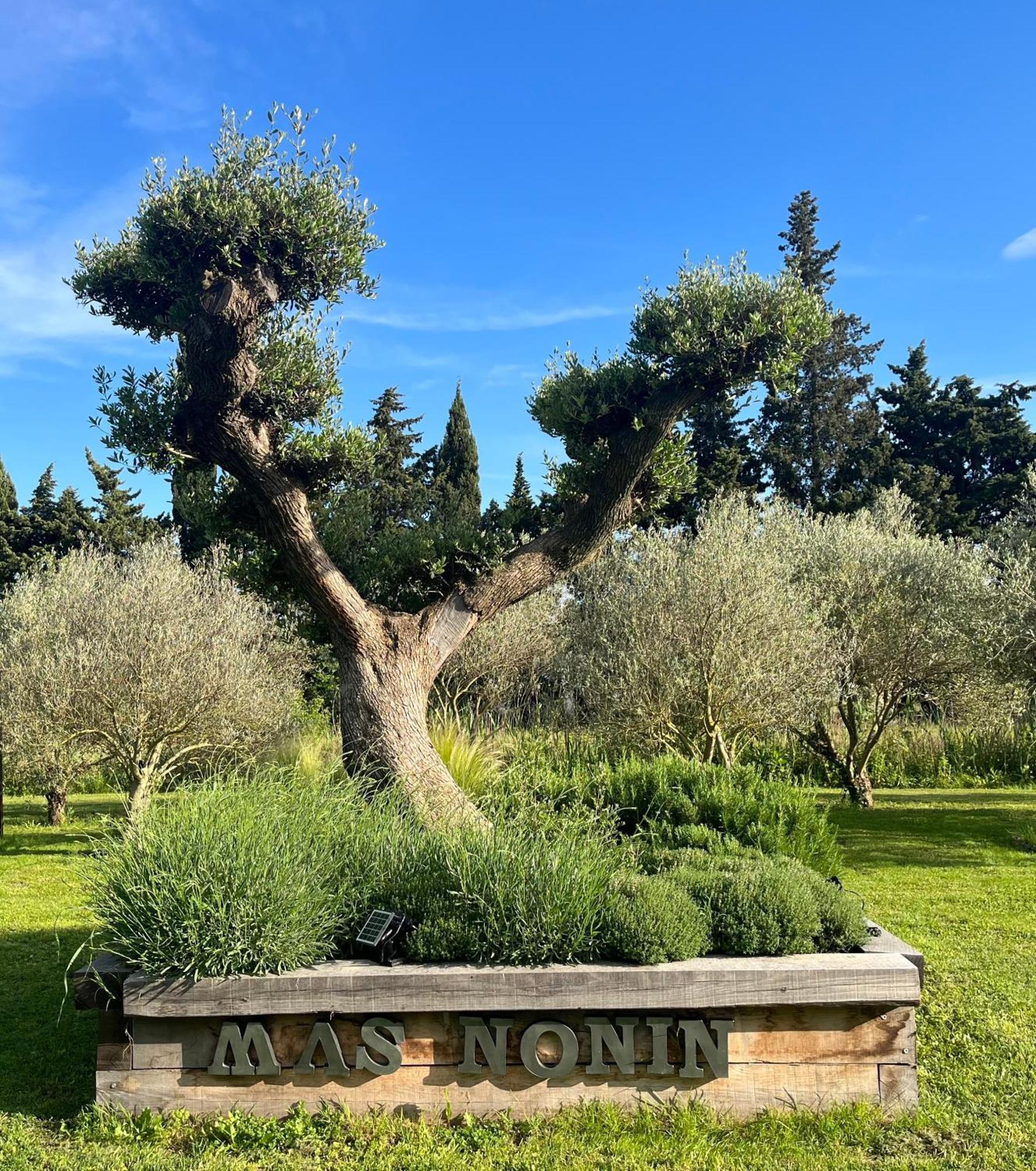 Hotel Mas De Nonin St Remy De Provence Noves Exterior foto